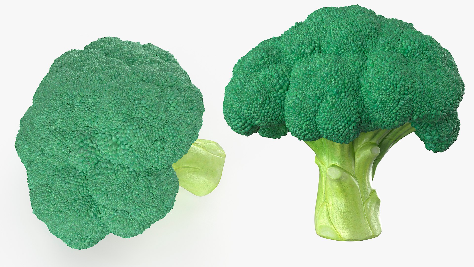 Whole Raw Broccoli Floret Green 3D model https://p.turbosquid.com/ts-thumb/sT/5apevE/se/whole_raw_broccoli_floret_green_003/jpg/1760478546/1920x1080/fit_q87/102da12efc8686f3624c435b9136b870bea0196c/whole_raw_broccoli_floret_green_003.jpg