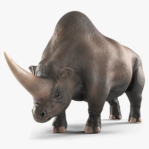 Giant Rhinoceros Standing Pose 3D model