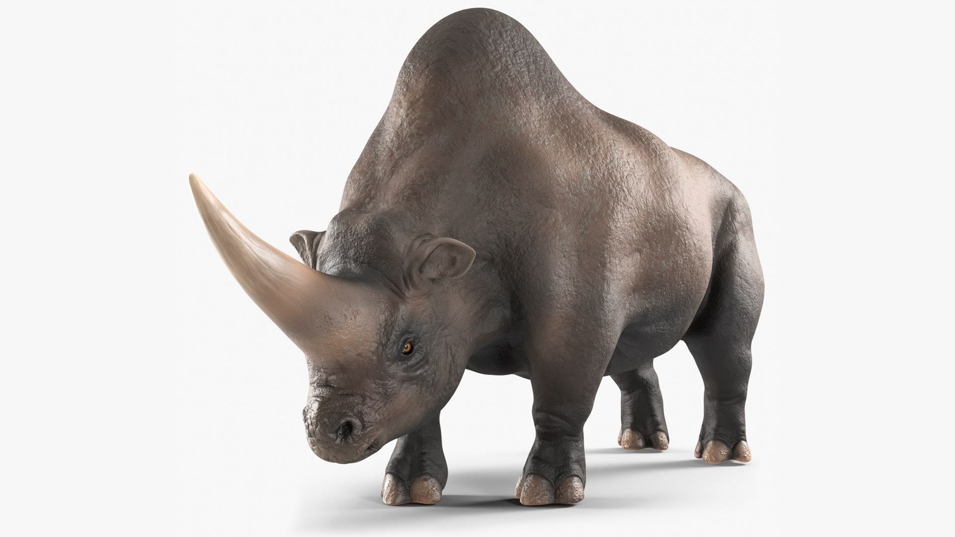 Giant Rhinoceros Standing Pose 3D model preview