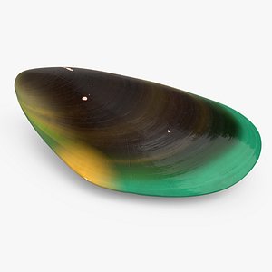 3D Closed Green Lipped Mussel Shell model
