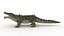 3D Crocodile