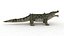 3D Crocodile