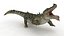 3D Crocodile