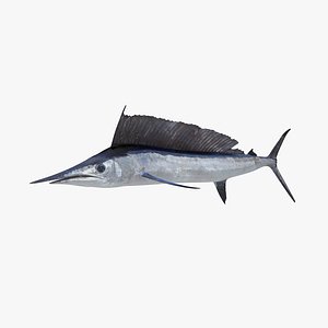 Longbill Spearfish