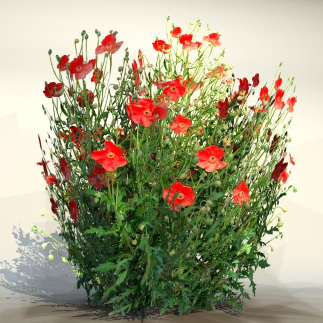 3d pc ps3 model https://p.turbosquid.com/ts-thumb/sT/WAxQiP/TgU0Kj4x/flower_09_1/jpg/1331830856/1920x1080/fit_q87/931c18d28b6f4bb21c69029aaab419d2248fc56d/flower_09_1.jpg
