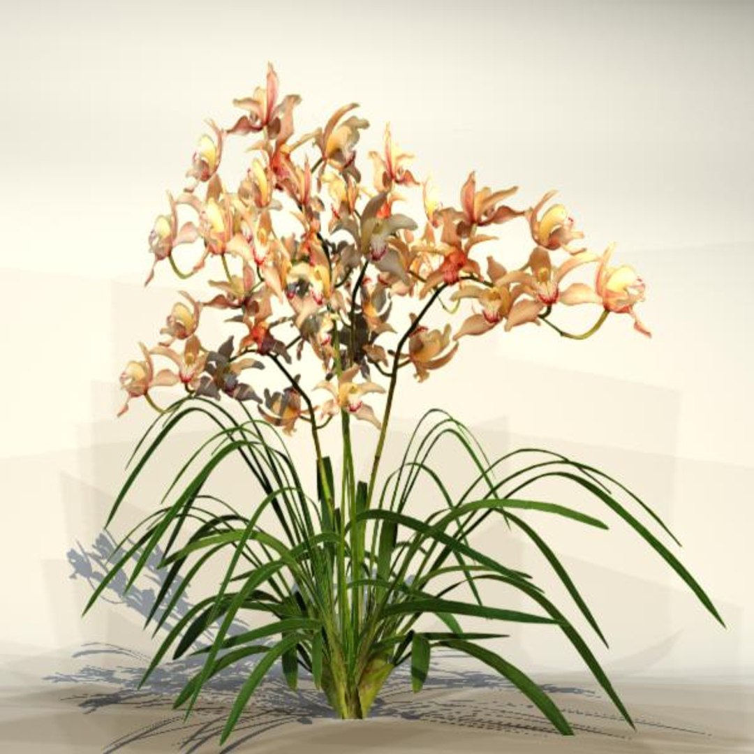 3d pc ps3 model https://p.turbosquid.com/ts-thumb/sT/WAxQiP/kjEBfAHQ/flower_03_1/jpg/1331830856/1920x1080/fit_q87/efac6bf98acf5bef64bab905b72c0bceaf397398/flower_03_1.jpg