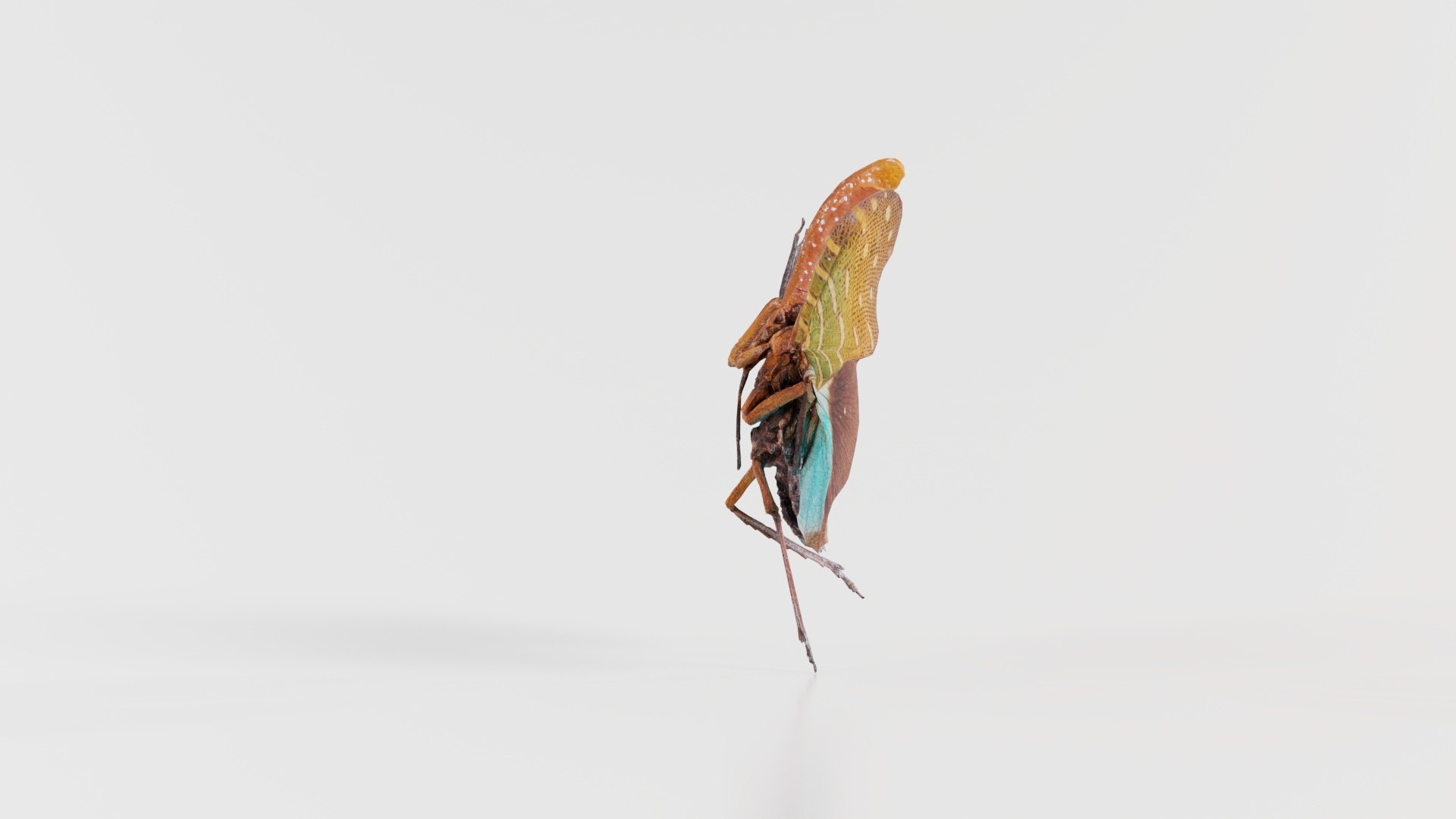 3D model Pyrops Pyrorgyncha Borneo Remastered https://p.turbosquid.com/ts-thumb/sT/WP5ndA/8B/pyrops_pyrorgyncha_borneo_07/jpg/1740083123/1920x1080/fit_q87/28f0e36d4e9ff20eca85a167ac2d98698175638c/pyrops_pyrorgyncha_borneo_07.jpg