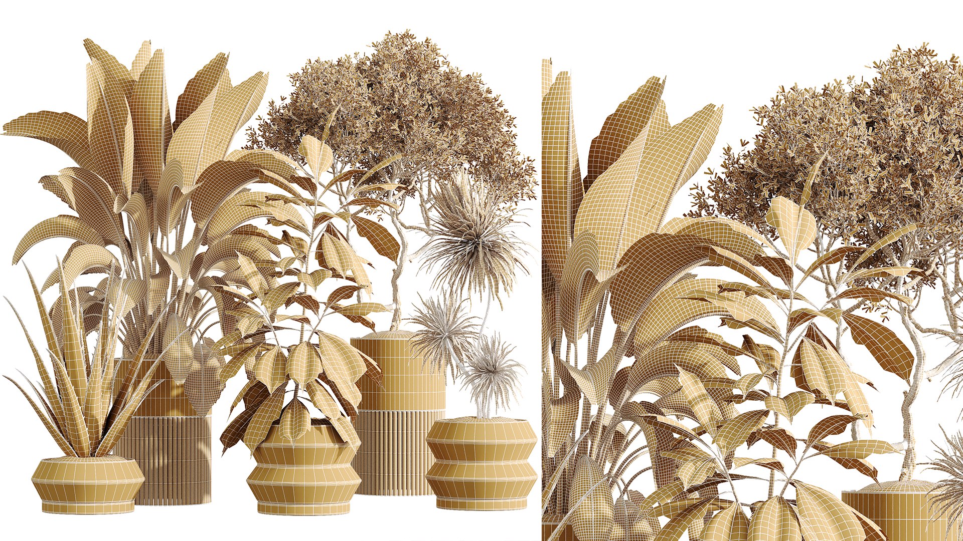 3D AV Indoor Plants Set 256 Arbequina Olive and Banana Strelitzia Nicolai and Yucca Aloifolia Palm model https://p.turbosquid.com/ts-thumb/sT/bw526q/AA/07/png/1751951555/1920x1080/fit_q87/49e151b4a3e03b55e4c87655be948768a6fc7a8a/07.jpg