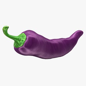 3d chili pepper purple