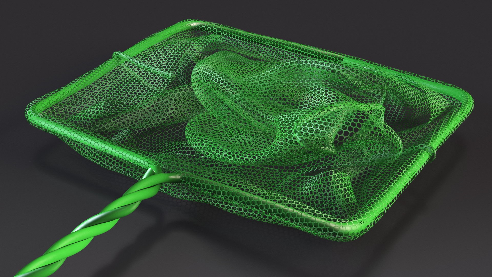 Aquarium Fish Net 3D https://p.turbosquid.com/ts-thumb/sT/f7XA3G/pu/aquariumfishnetvray3dmodel008/jpg/1693948601/1920x1080/fit_q87/2ccfeb5320ac7e47a498396e6f28e38b589cb8f9/aquariumfishnetvray3dmodel008.jpg