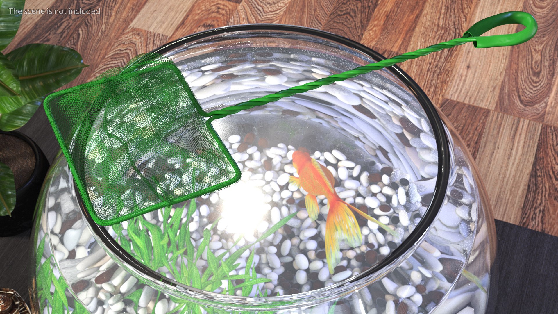 Aquarium Fish Net 3D https://p.turbosquid.com/ts-thumb/sT/f7XA3G/yz/aquariumfishnetvray3dmodel004/jpg/1693948586/1920x1080/fit_q87/66fc009a4d35085dfdd94662521f1ddafbbb5094/aquariumfishnetvray3dmodel004.jpg
