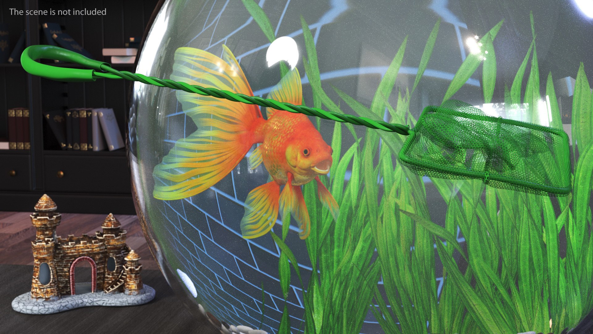 Aquarium Fish Net 3D https://p.turbosquid.com/ts-thumb/sT/f7XA3G/zs/aquariumfishnetvray3dmodel003/jpg/1693948581/1920x1080/fit_q87/a9b98c85ee134c65f81af8d2e9b27acc91ede4b5/aquariumfishnetvray3dmodel003.jpg