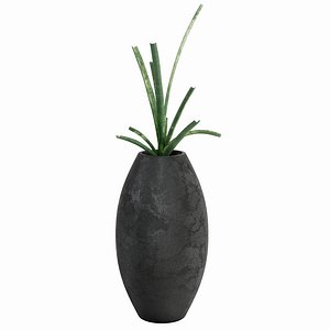 3D Attitude exotic vase model