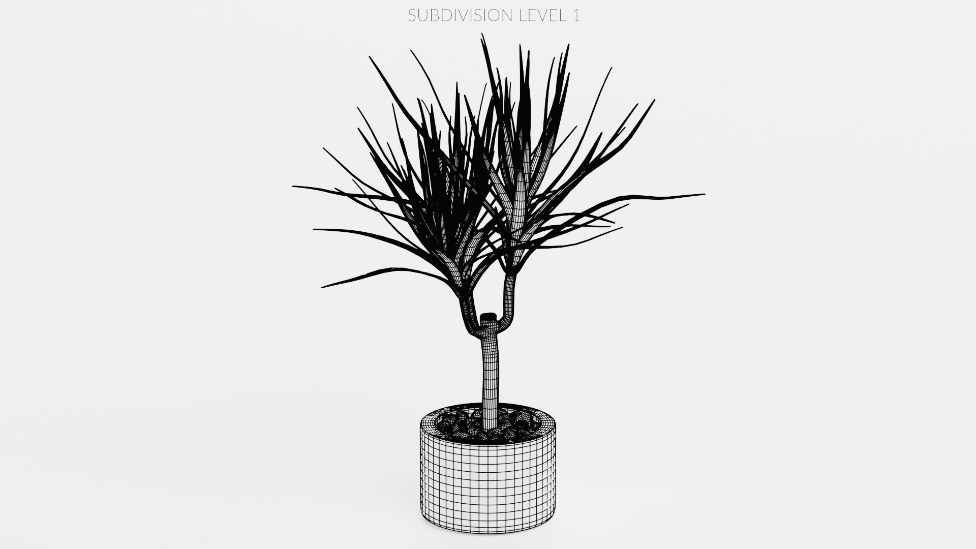Home Plants Collection 3D model https://p.turbosquid.com/ts-thumb/sT/nfFdx8/4f/dracenainpot2w1/png/1691401456/1920x1080/fit_q87/d0bb72204837f715accc0fed1d1a927f41e18950/dracenainpot2w1.jpg