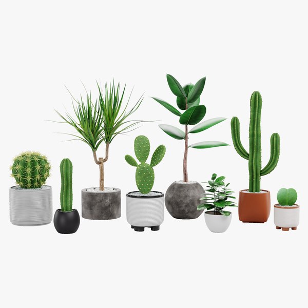 Home Plants Collection 3D model