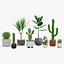 Colección de plantas caseras
