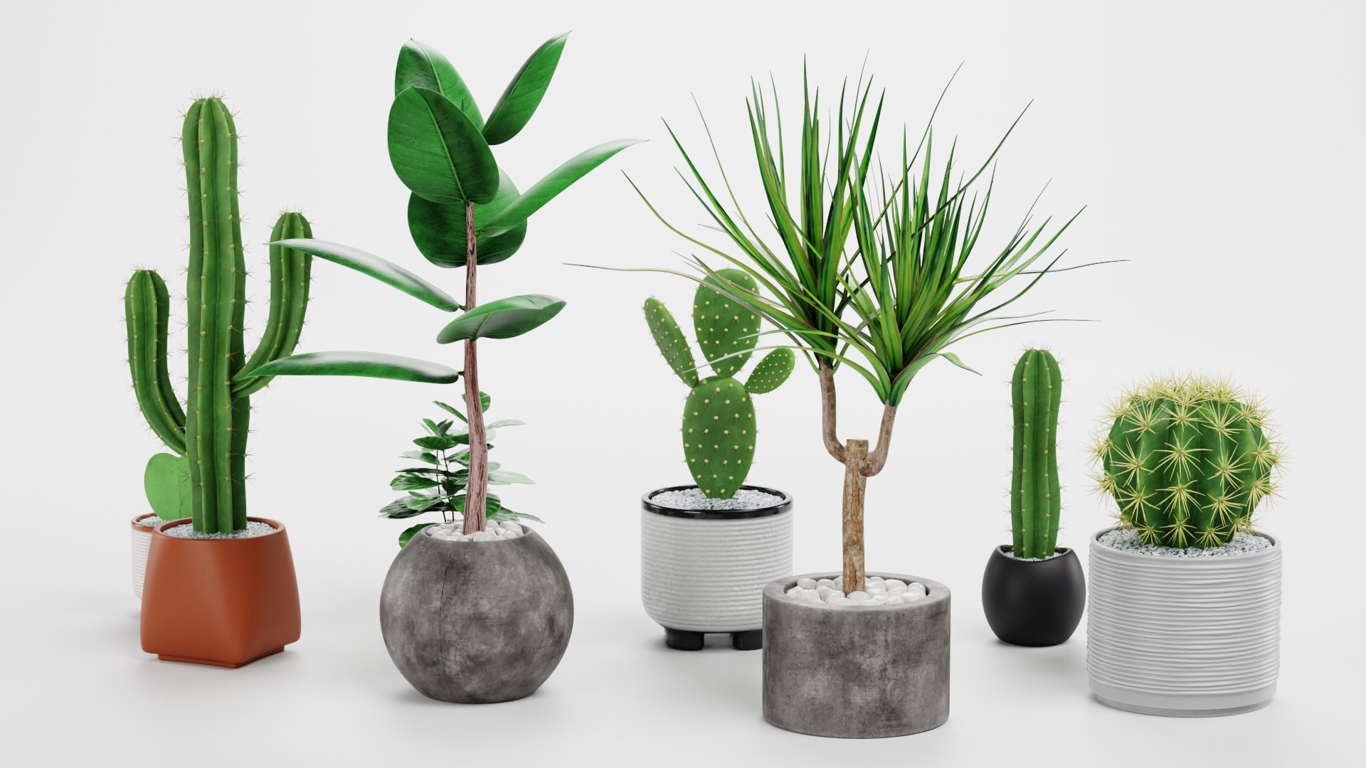 Home Plants Collection 3D model https://p.turbosquid.com/ts-thumb/sT/nfFdx8/9X/ahomeplantse/png/1691401447/1920x1080/fit_q87/eafb321259595a4c0f51d327a8befd2e5b35ad90/ahomeplantse.jpg