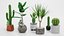 Colección de plantas caseras