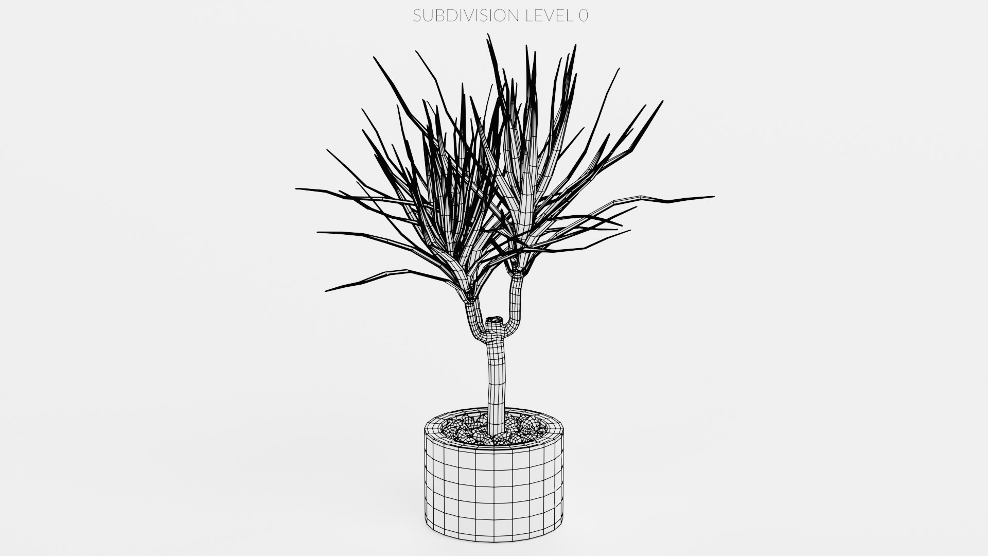 Home Plants Collection 3D model https://p.turbosquid.com/ts-thumb/sT/nfFdx8/Dk/dracenainpot2w0/png/1691401455/1920x1080/fit_q87/7f1f99f4e611380454a8507fd5eae37ed0b72210/dracenainpot2w0.jpg