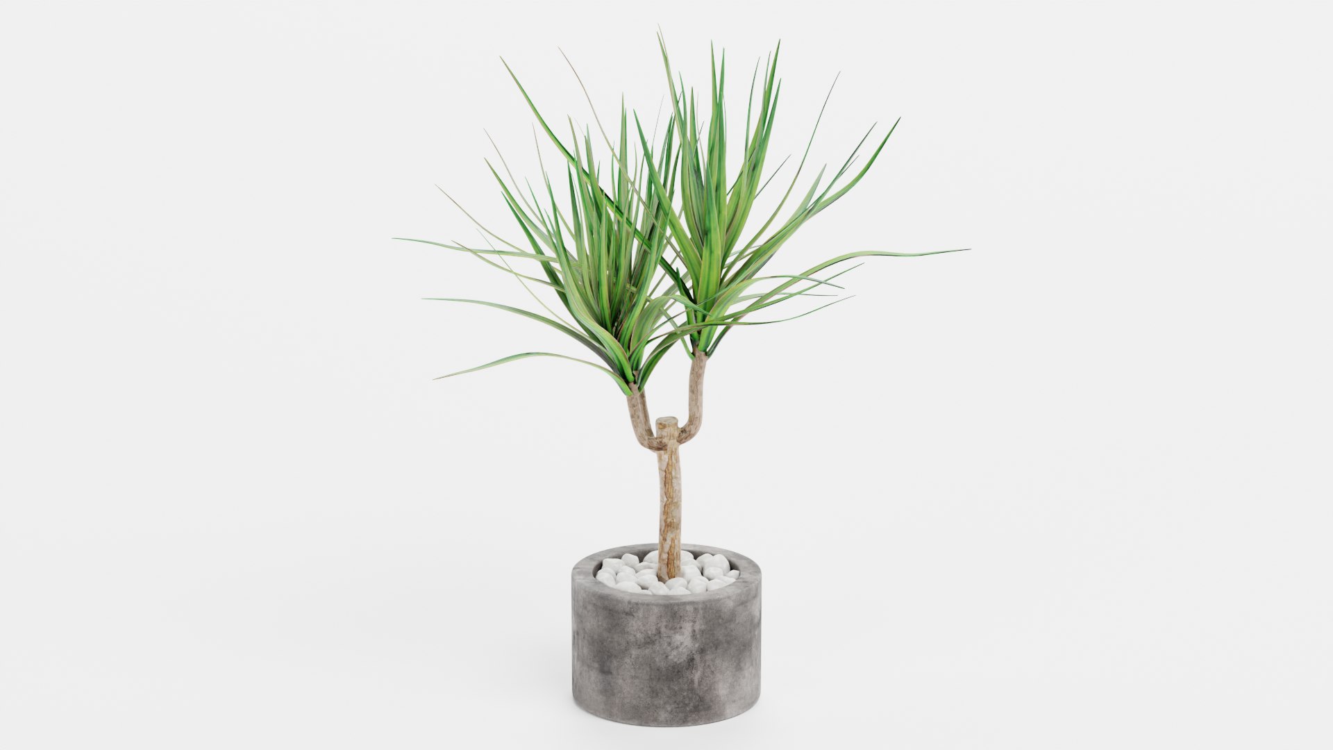 Home Plants Collection 3D model https://p.turbosquid.com/ts-thumb/sT/nfFdx8/Ij/dracenainpot2b/png/1691401454/1920x1080/fit_q87/58adffd9eb6e757ba258a40b7f4ff857dac0da1d/dracenainpot2b.jpg