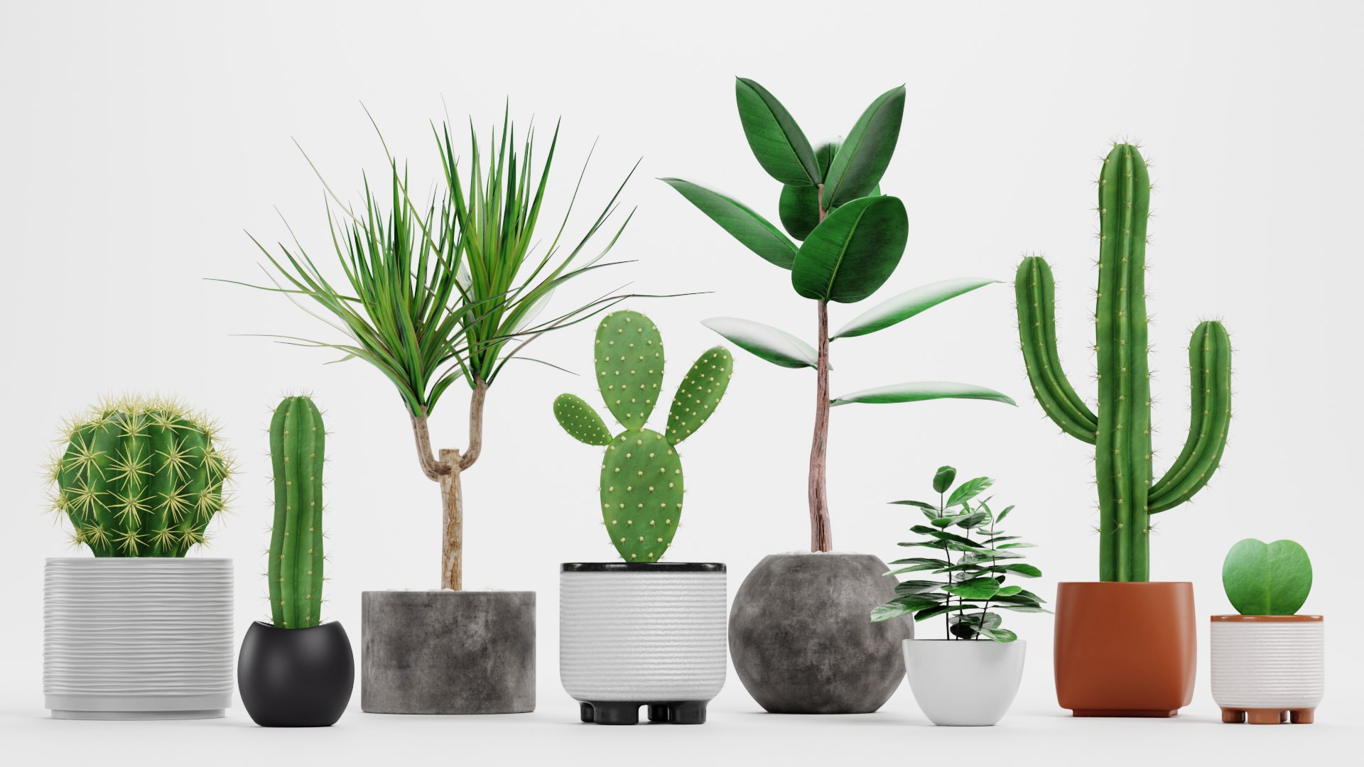 Home Plants Collection 3D model https://p.turbosquid.com/ts-thumb/sT/nfFdx8/J5/ahomeplantsc/png/1691401445/1920x1080/fit_q87/787a8b5c7452ca1ac85e0f7f80a0a44c6146d302/ahomeplantsc.jpg