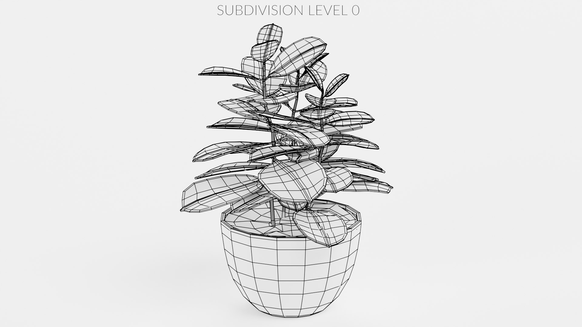 Home Plants Collection 3D model https://p.turbosquid.com/ts-thumb/sT/nfFdx8/Sm/coffeeinpot1w0/png/1691401450/1920x1080/fit_q87/4eea4fd9932bb1c1be8b59dacaef10d17808af0f/coffeeinpot1w0.jpg