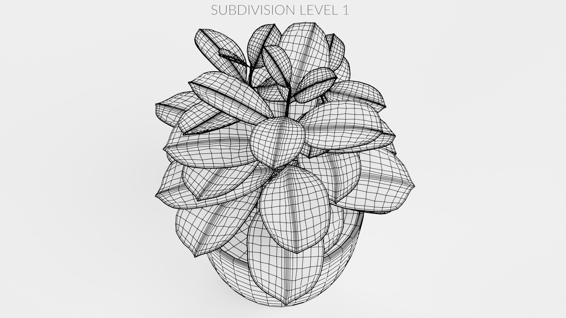 Home Plants Collection 3D model https://p.turbosquid.com/ts-thumb/sT/nfFdx8/Tf/coffeeinpot1w3/png/1691401454/1920x1080/fit_q87/555388d8ac2d5946c44e835936cae9786f72b5ec/coffeeinpot1w3.jpg