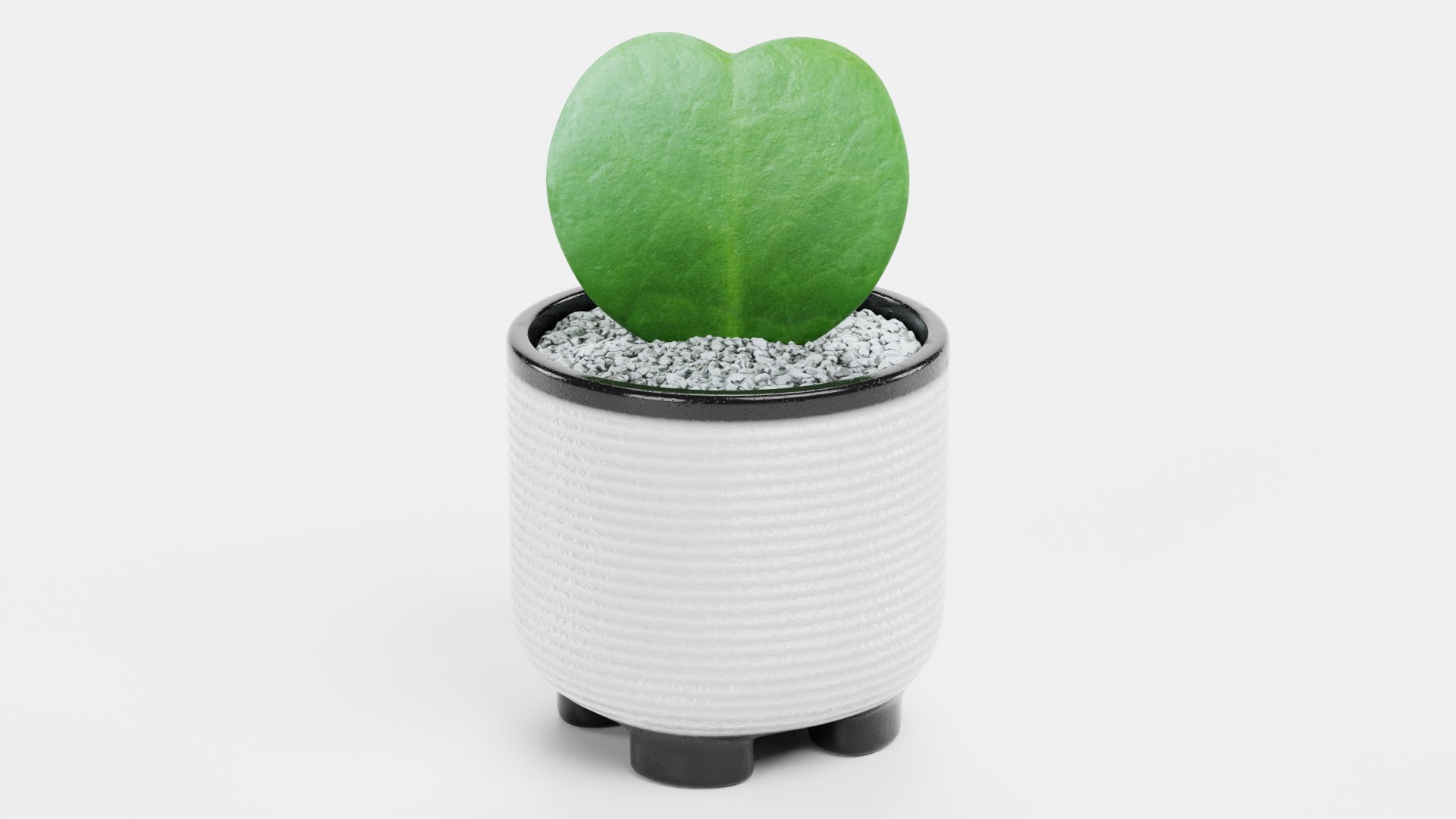 Home Plants Collection 3D model https://p.turbosquid.com/ts-thumb/sT/nfFdx8/UU/hoyainpotb/png/1691401469/1920x1080/fit_q87/1536716f74aa9a99d65f5813e71d466b33807384/hoyainpotb.jpg