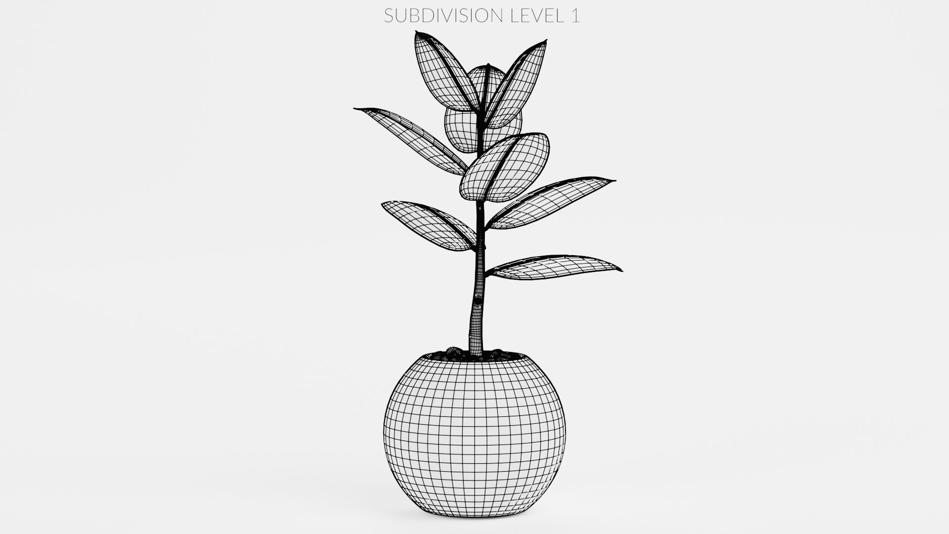 Home Plants Collection 3D model https://p.turbosquid.com/ts-thumb/sT/nfFdx8/VK/ficusinpot2w1/png/1691401461/1920x1080/fit_q87/24f89595a394c92b111dce659f2c89d0248cb407/ficusinpot2w1.jpg