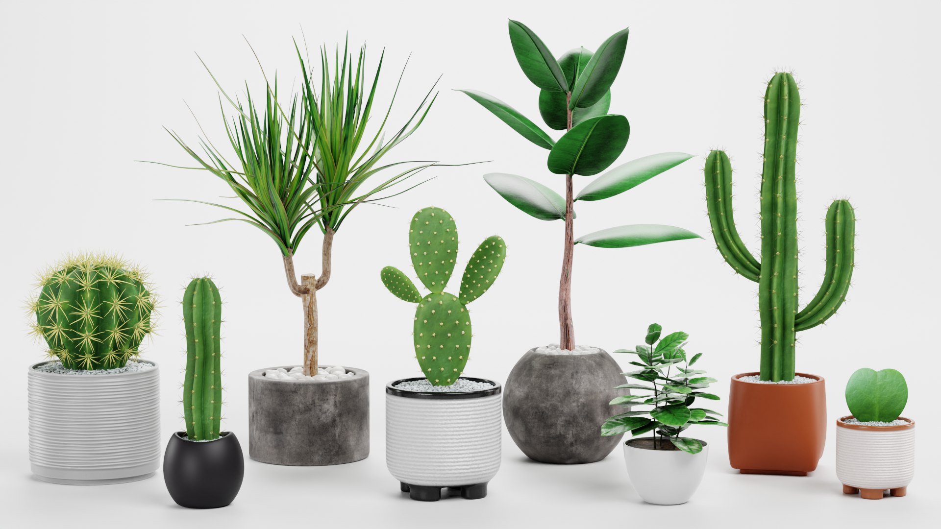 Home Plants Collection 3D model https://p.turbosquid.com/ts-thumb/sT/nfFdx8/YO/ahomeplantsb/png/1691401445/1920x1080/fit_q87/d0ee80940f4c95c1f04163634aa982dd1e7389e9/ahomeplantsb.jpg