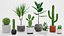Colección de plantas caseras