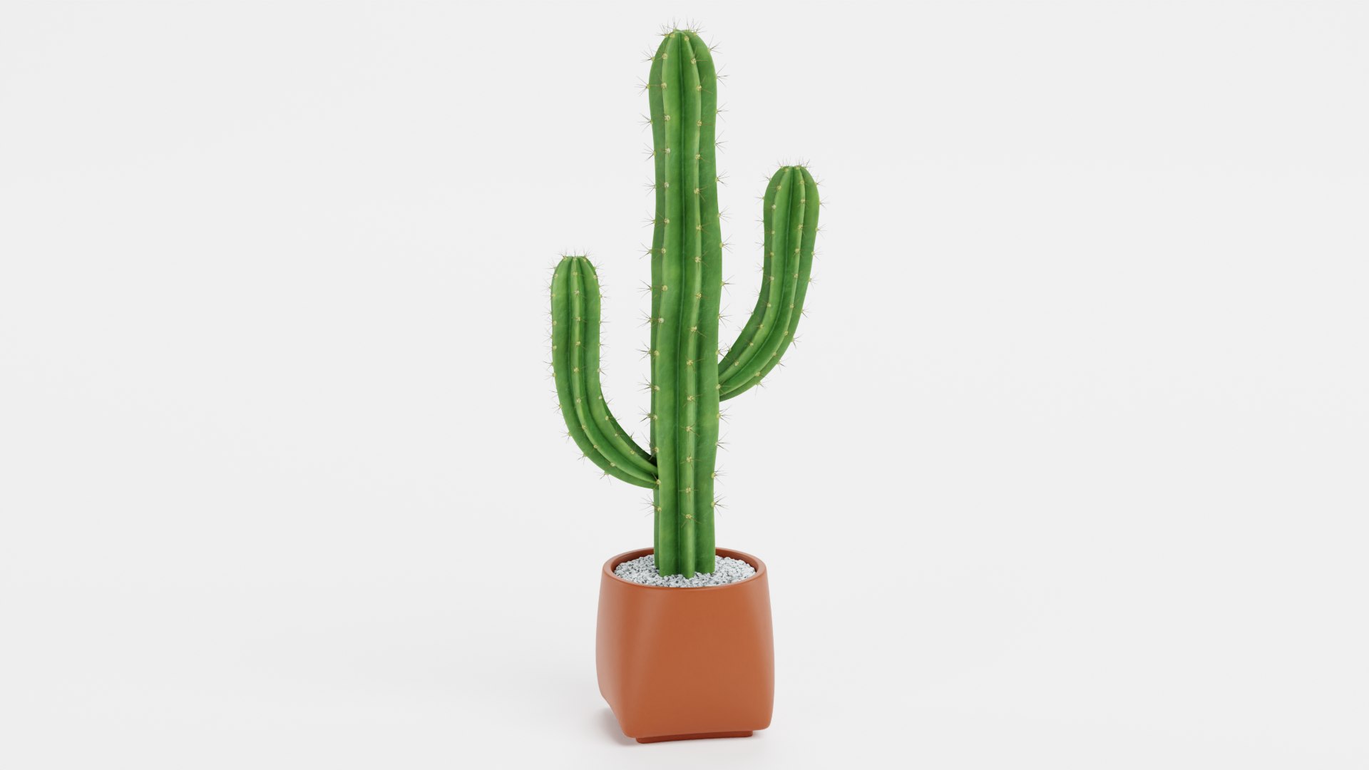 Home Plants Collection 3D model https://p.turbosquid.com/ts-thumb/sT/nfFdx8/YY/saguaroinpotb/png/1691401477/1920x1080/fit_q87/01ed5542821156a561e272b4b3aec11bbb6c64f1/saguaroinpotb.jpg