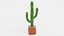 Colección de plantas caseras