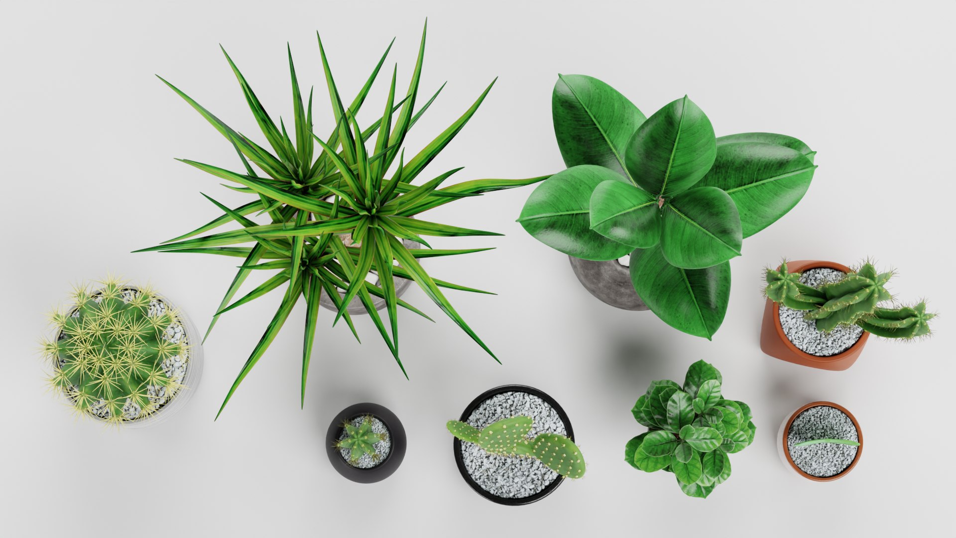 Home Plants Collection 3D model https://p.turbosquid.com/ts-thumb/sT/nfFdx8/gP/ahomeplantsg/png/1691401448/1920x1080/fit_q87/1479fad8dbe4b5c907d57def261fa5263f510ddd/ahomeplantsg.jpg