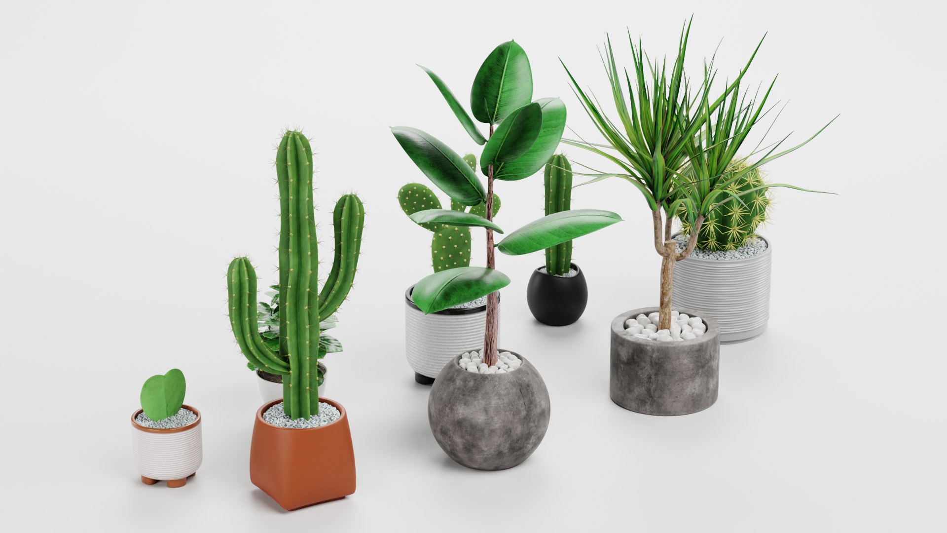 Home Plants Collection 3D model https://p.turbosquid.com/ts-thumb/sT/nfFdx8/gm/ahomeplantsf/png/1691401448/1920x1080/fit_q87/336c0a93a284145ea4a93d1bfed63b87b9f43302/ahomeplantsf.jpg