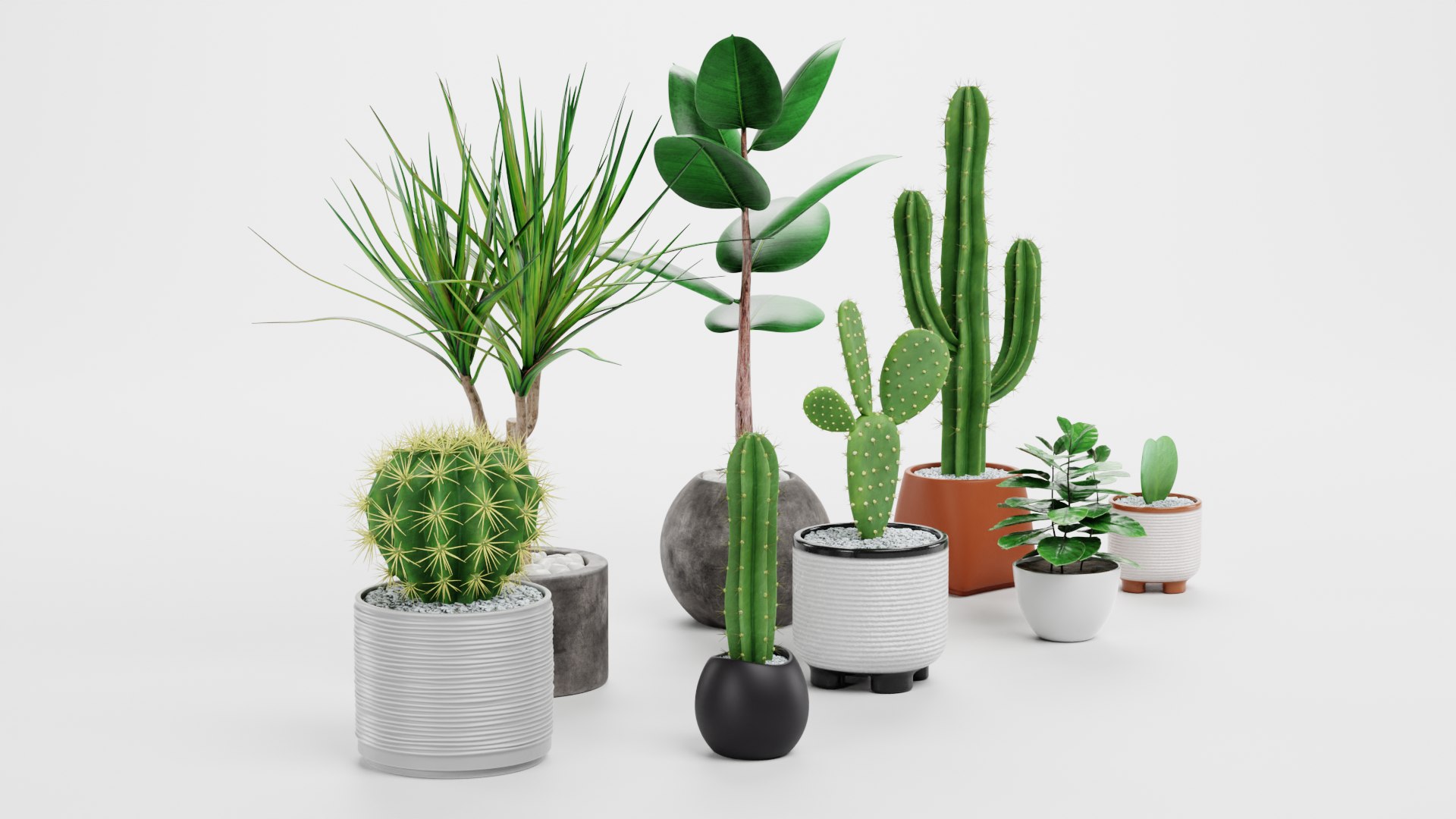 Home Plants Collection 3D model https://p.turbosquid.com/ts-thumb/sT/nfFdx8/rx/ahomeplantsd/png/1691401446/1920x1080/fit_q87/82812c60b8bb7fa88cd407e5ed9dd48cbca27d27/ahomeplantsd.jpg