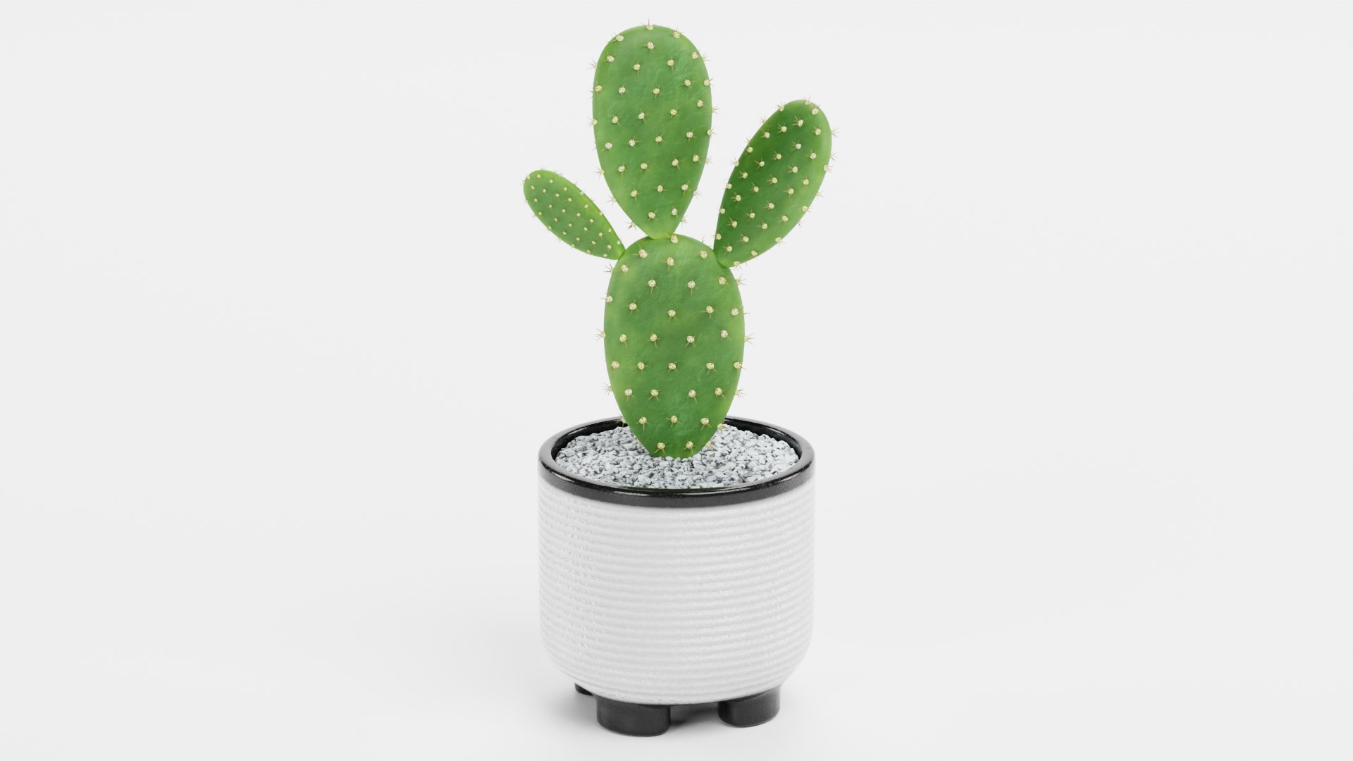 Home Plants Collection 3D model https://p.turbosquid.com/ts-thumb/sT/nfFdx8/sv/opuntiainpotb/png/1691401473/1920x1080/fit_q87/34164a78b424f6672399d0a5f2ab5c4a6d18a355/opuntiainpotb.jpg