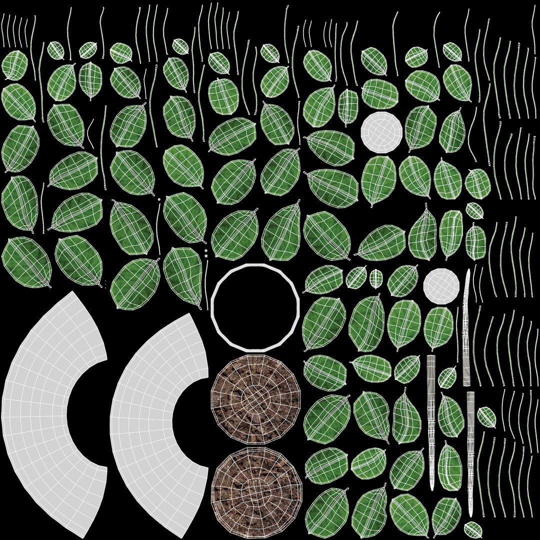Home Plants Collection 3D model https://p.turbosquid.com/ts-thumb/sT/nfFdx8/tM/coffeeinpot1uv/png/1691401453/1920x1080/fit_q87/0239d0c3dae54f31674a91e1755e31aa7d6f48b8/coffeeinpot1uv.jpg