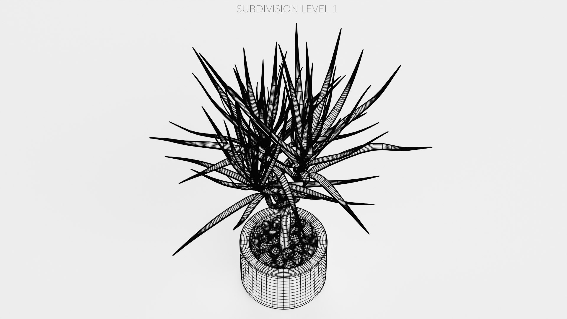 Home Plants Collection 3D model https://p.turbosquid.com/ts-thumb/sT/nfFdx8/wZ/dracenainpot2w3/png/1691401458/1920x1080/fit_q87/8e7174cefef9e5512c0018cf9f6756bdec4fd2c9/dracenainpot2w3.jpg