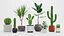 Colección de plantas caseras