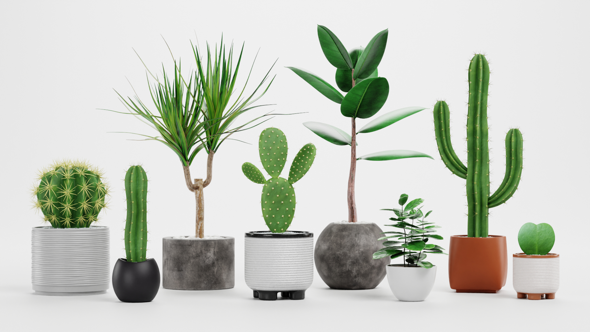 Home Plants Collection 3D model https://p.turbosquid.com/ts-thumb/sT/nfFdx8/yl/0001/png/1691401511/1920x1080/turn_fit_q99/0ad168ddfafcea093307d4e979cd132765677563/0001-1.jpg