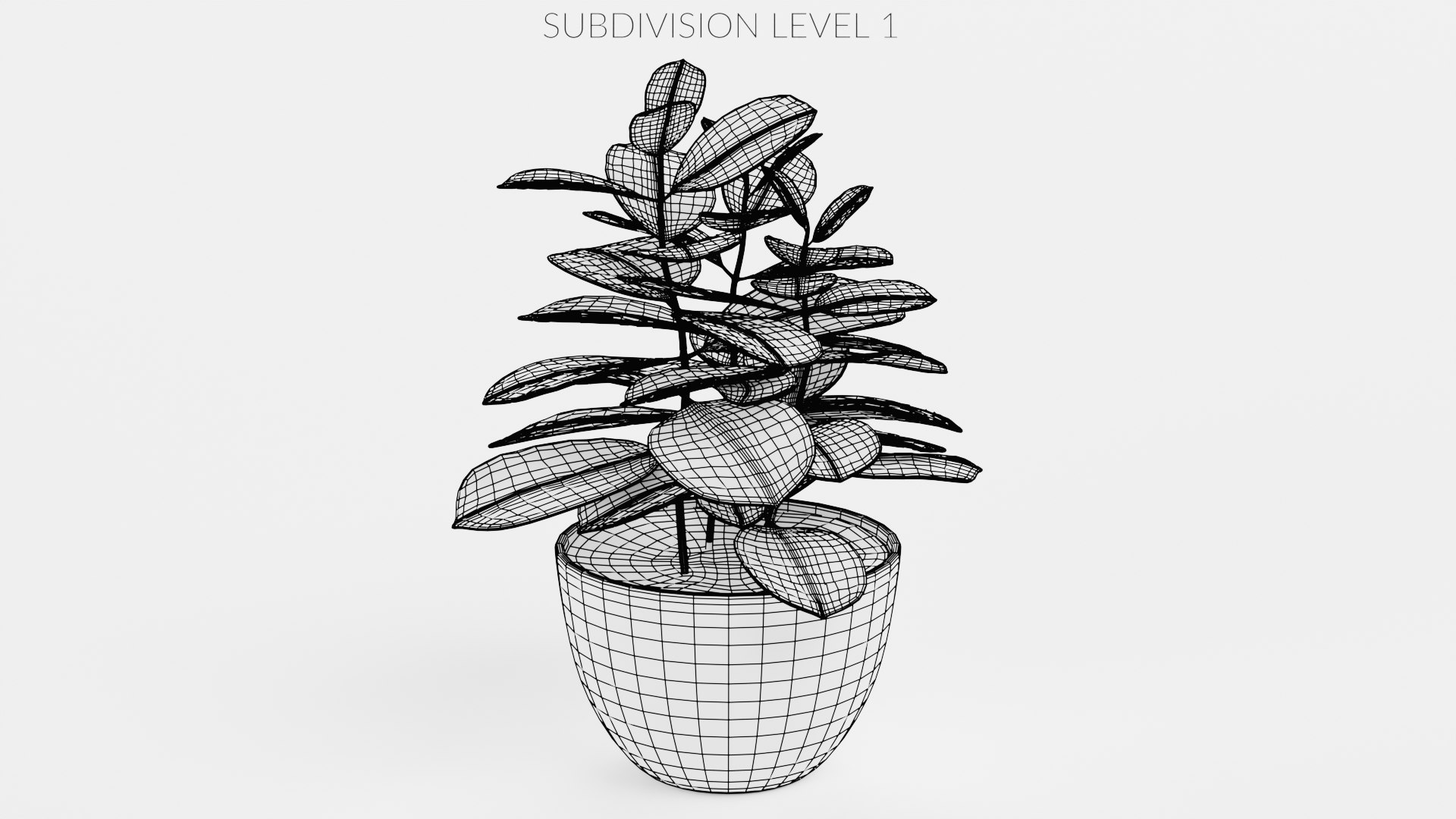 Home Plants Collection 3D model https://p.turbosquid.com/ts-thumb/sT/nfFdx8/zv/coffeeinpot1w1/png/1691401452/1920x1080/fit_q87/ee0486d1e26c6a0957342c5abc56cb8cb5744790/coffeeinpot1w1.jpg