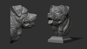 Rottweiler gloomy bust model