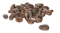 Caster seed pile