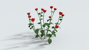 3D laos Roses model