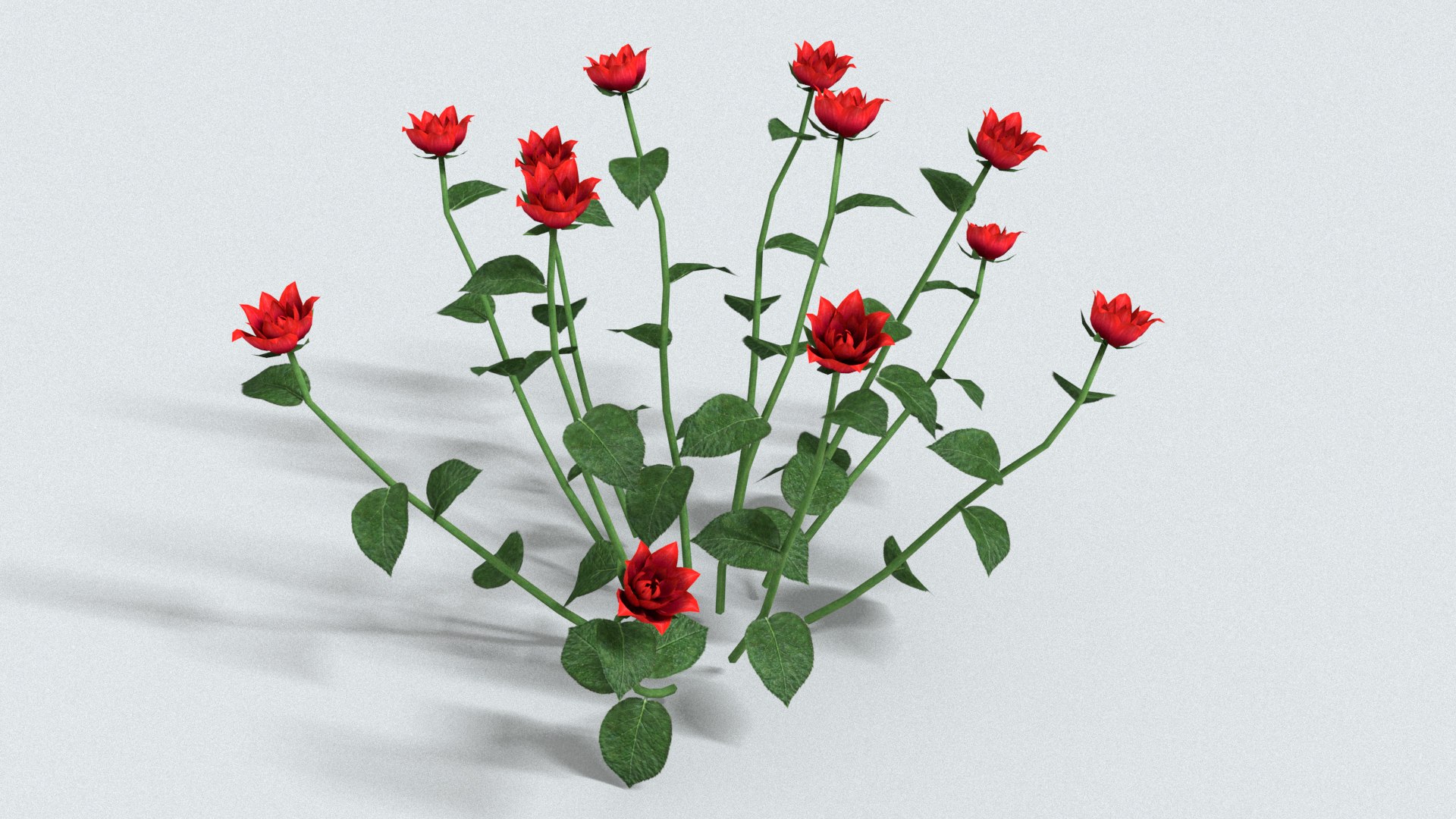 3D Laos Roses Model - TurboSquid 2482986