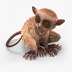 3D model Alert Sitting Tarsier Fur for Maya