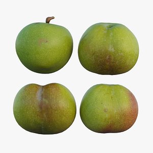 plum 09