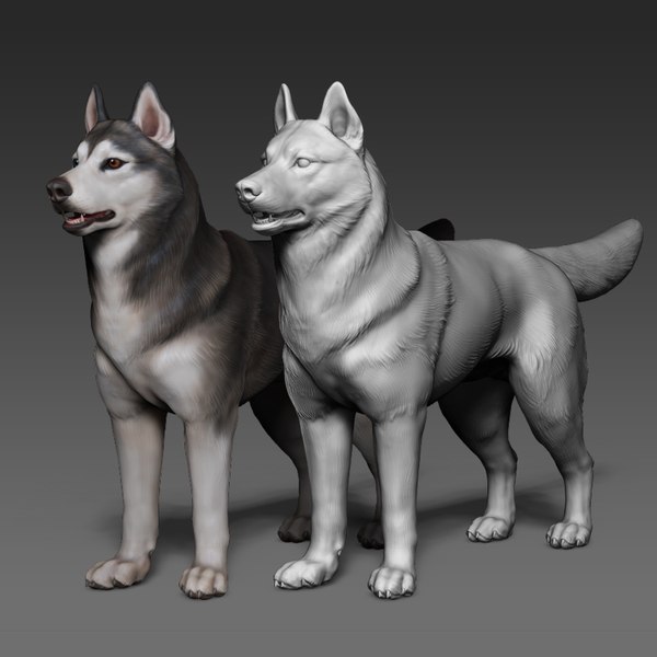 husky_highpoly1.jpg