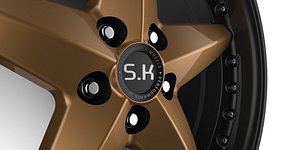 rim alloy wheel ige